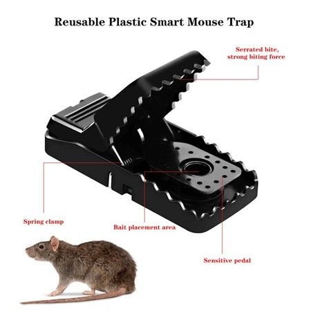 https://img.bestdeals.co.nz/products_pictures/392/39214_346487_F.jpg