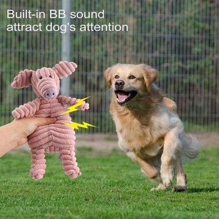 https://img.bestdeals.co.nz/products_pictures/392/39282_347136_F.jpg