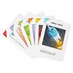 Unstable Unicorns Card Game - A strategic card game and party game for adults and teens