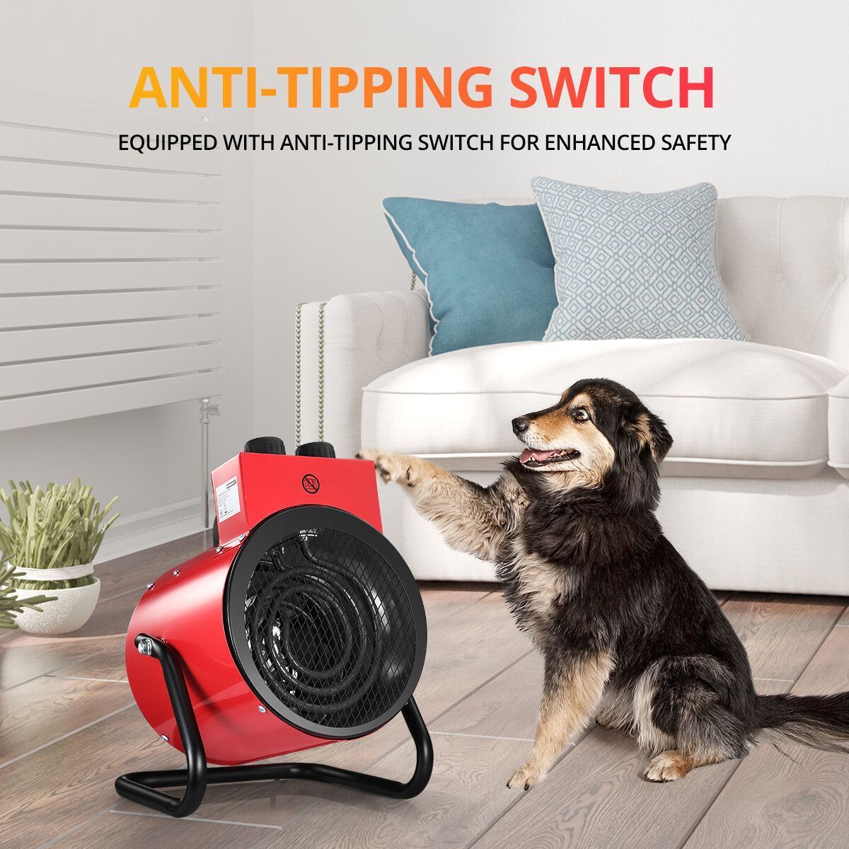 https://img.bestdeals.co.nz/products_pictures/393/39344_347656_F.jpg