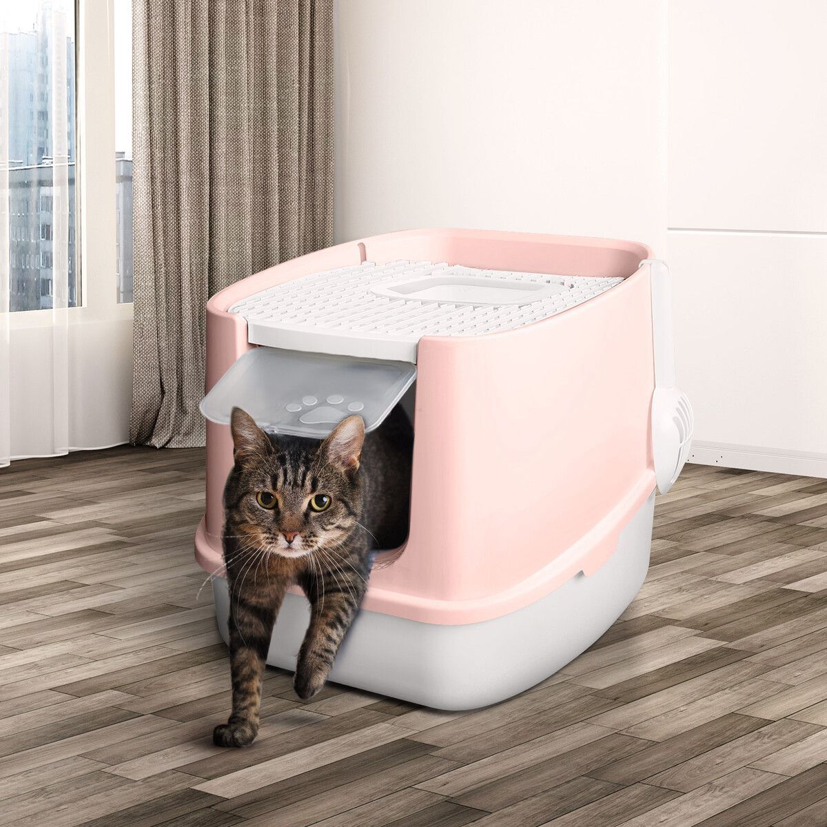 https://img.bestdeals.co.nz/products_pictures/394/39430_348591_F.jpg
