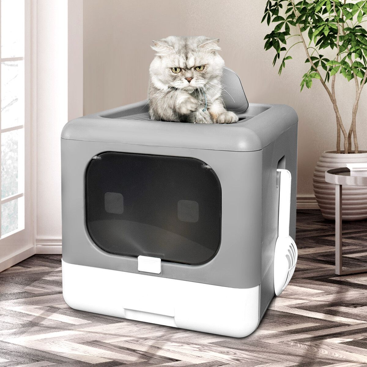 https://img.bestdeals.co.nz/products_pictures/394/39431_348600_F.jpg