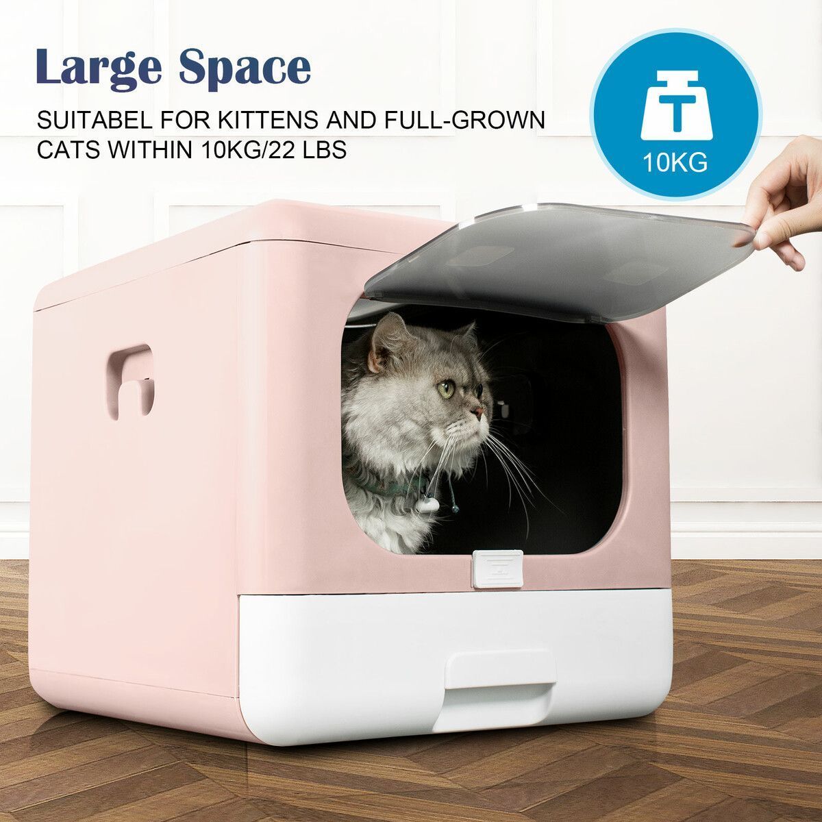 https://img.bestdeals.co.nz/products_pictures/394/39432_348618_F.jpg