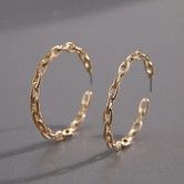 Trendy Hollow Exquisite Chic Hoop Earrings