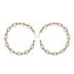 Trendy Hollow Exquisite Chic Hoop Earrings