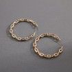 Trendy Hollow Exquisite Chic Hoop Earrings