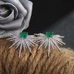 Rhinestones Unique Evening Party Women Earrings