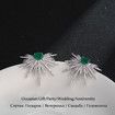 Rhinestones Unique Evening Party Women Earrings