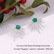 Rhinestones Unique Evening Party Women Earrings
