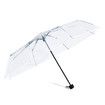 Clear Canopy Automatic Open Foldable Umbrella