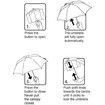 Clear Canopy Automatic Open Foldable Umbrella