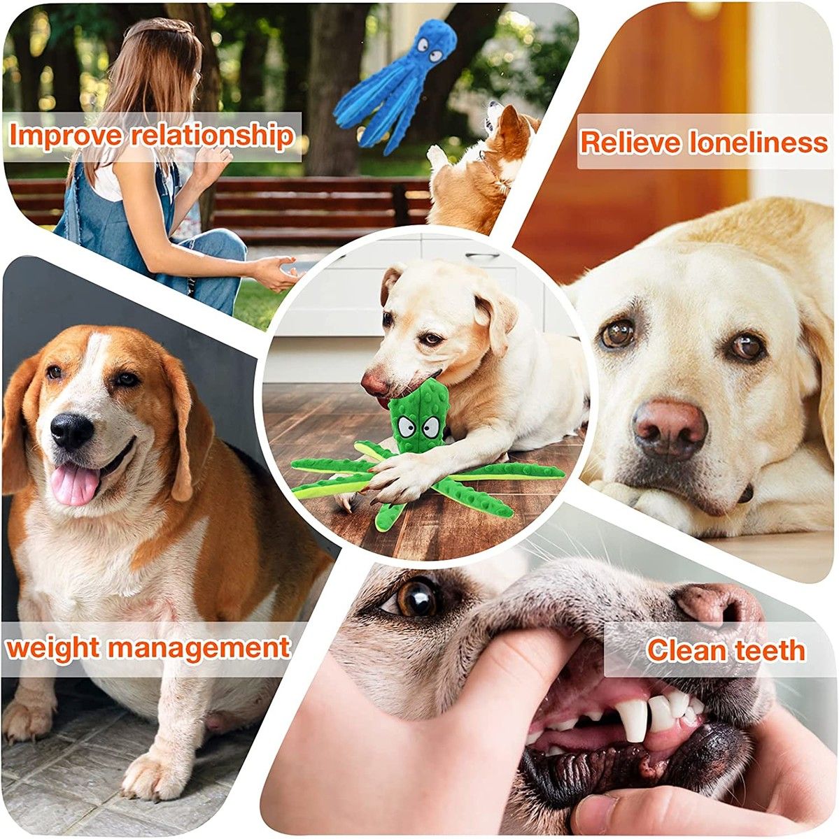https://img.bestdeals.co.nz/products_pictures/488/48817_452923_F.jpg