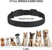 Waterproof and rechargeable Bark Stop collar (silver)