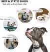 Waterproof and rechargeable Bark Stop collar (silver)