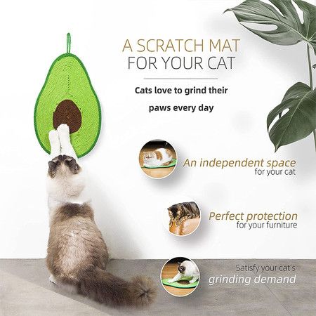 https://img.bestdeals.co.nz/products_pictures/490/49009_455016_F.jpg
