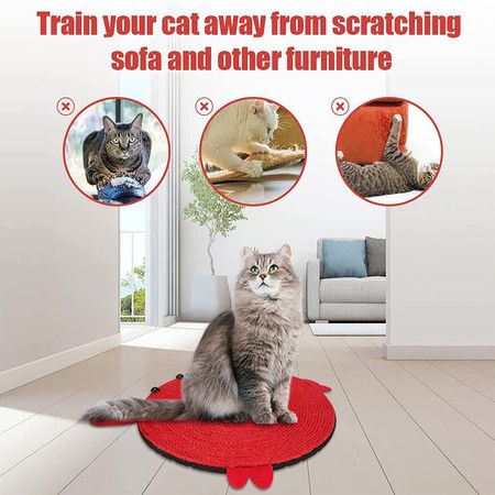 https://img.bestdeals.co.nz/products_pictures/490/49010_455020_F.jpg