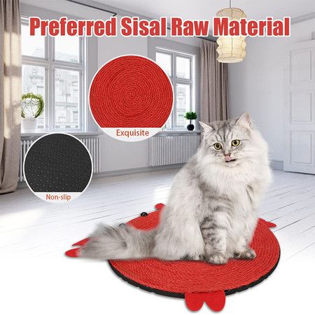 https://img.bestdeals.co.nz/products_pictures/490/49010_455021_F.jpg
