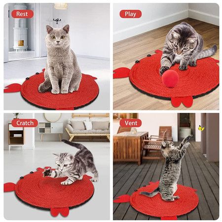 https://img.bestdeals.co.nz/products_pictures/490/49010_455022_F.jpg