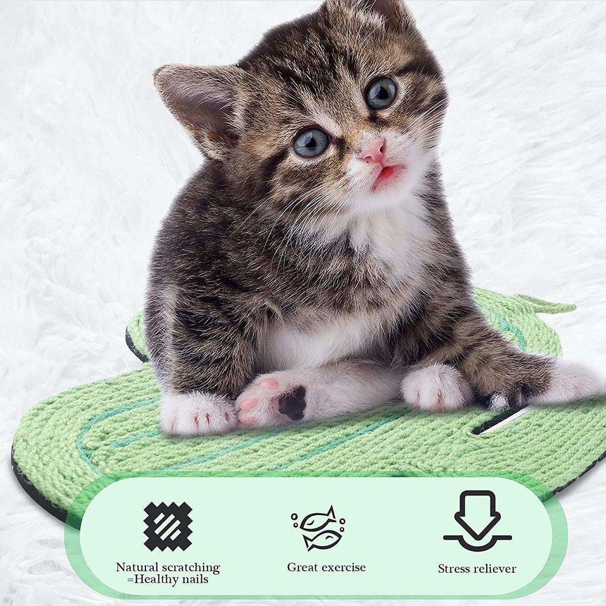 https://img.bestdeals.co.nz/products_pictures/490/49011_455032_F.jpg