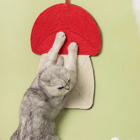 https://img.bestdeals.co.nz/products_pictures/490/49046_455313_F.jpg