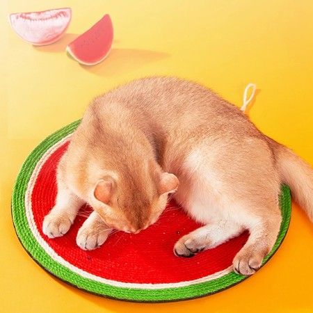 https://img.bestdeals.co.nz/products_pictures/490/49050_455339_F.jpg