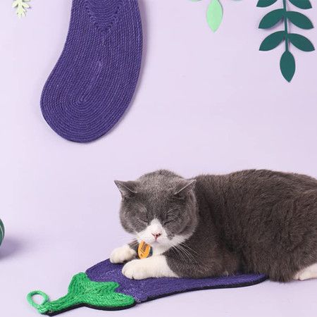 https://img.bestdeals.co.nz/products_pictures/490/49052_455355_F.jpg