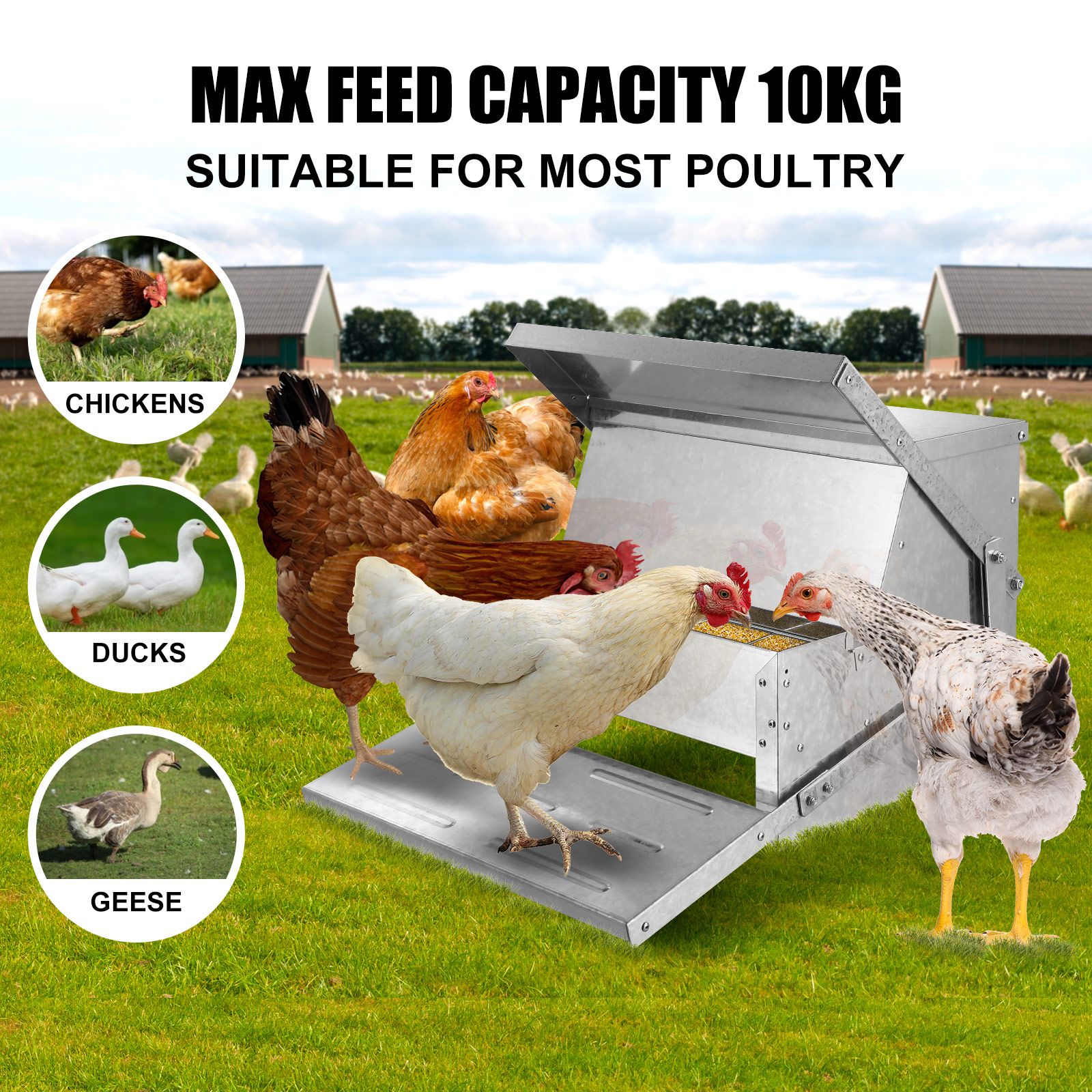 10L Auto Chicken Feeder Automatic Poultry Chook Food Feeding Treadle