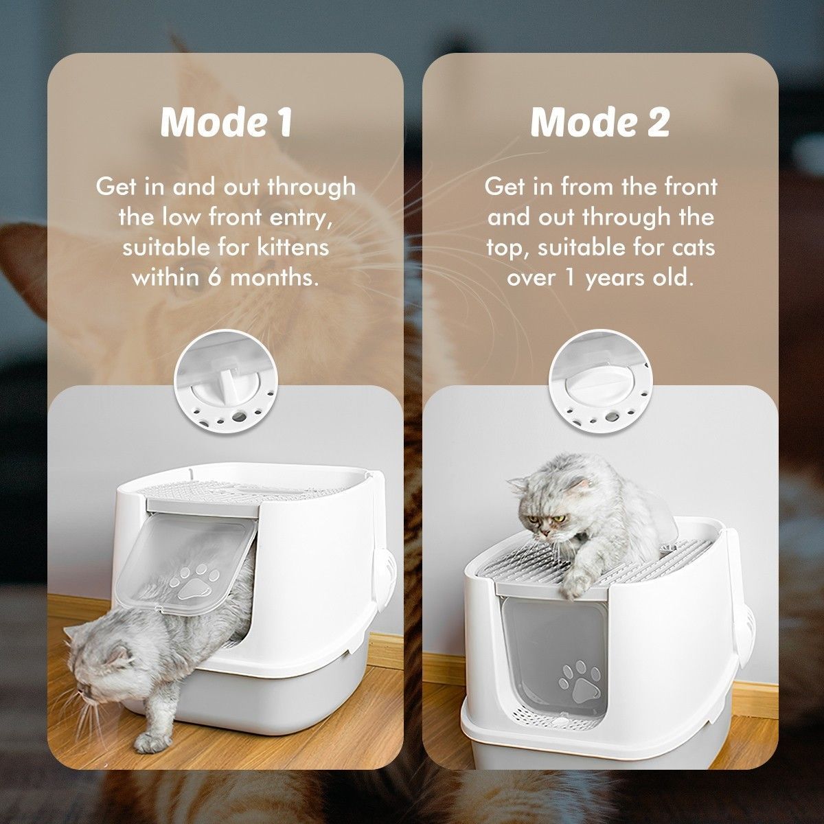 https://img.bestdeals.co.nz/products_pictures/492/49210_456893_F.jpg