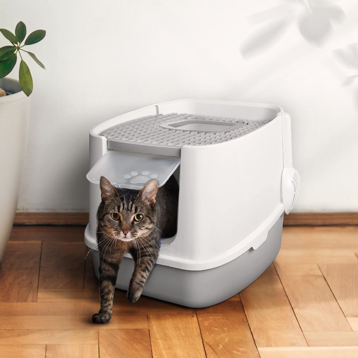 https://img.bestdeals.co.nz/products_pictures/492/49210_456896_F.jpg