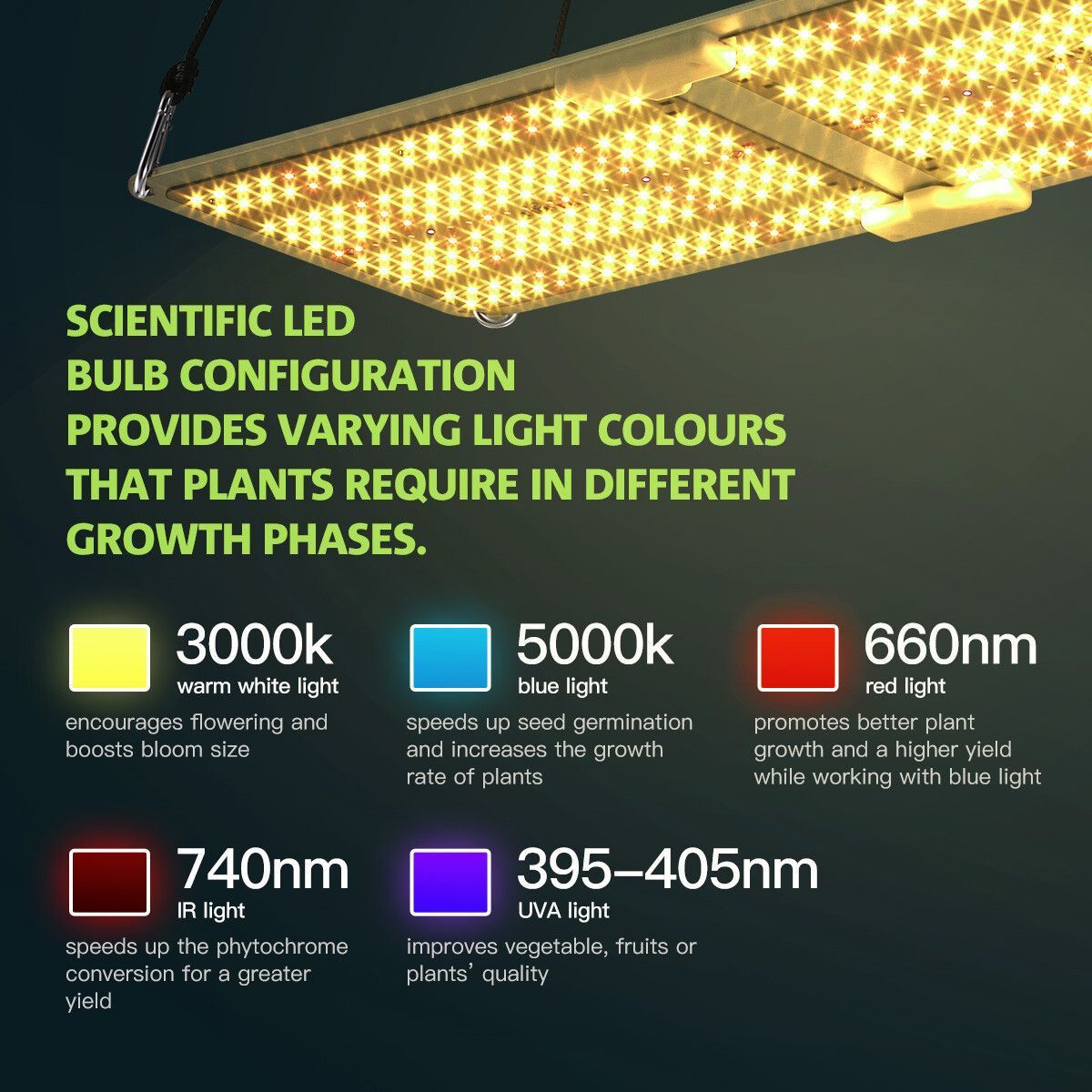 https://img.bestdeals.co.nz/products_pictures/493/49321_457926_F.jpg