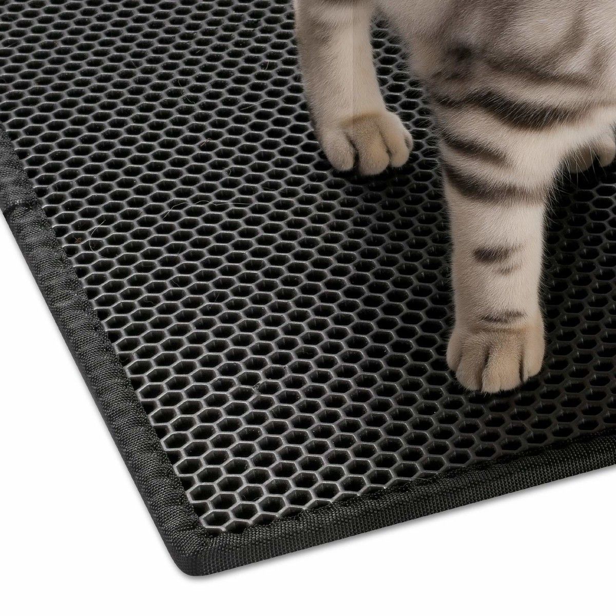 https://img.bestdeals.co.nz/products_pictures/494/49418_459426_F.jpg