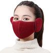 2 in 1 Winter Unisex Breathable Holes Mask Cold-Proof Thermal Mask Earmuffs Color Random
