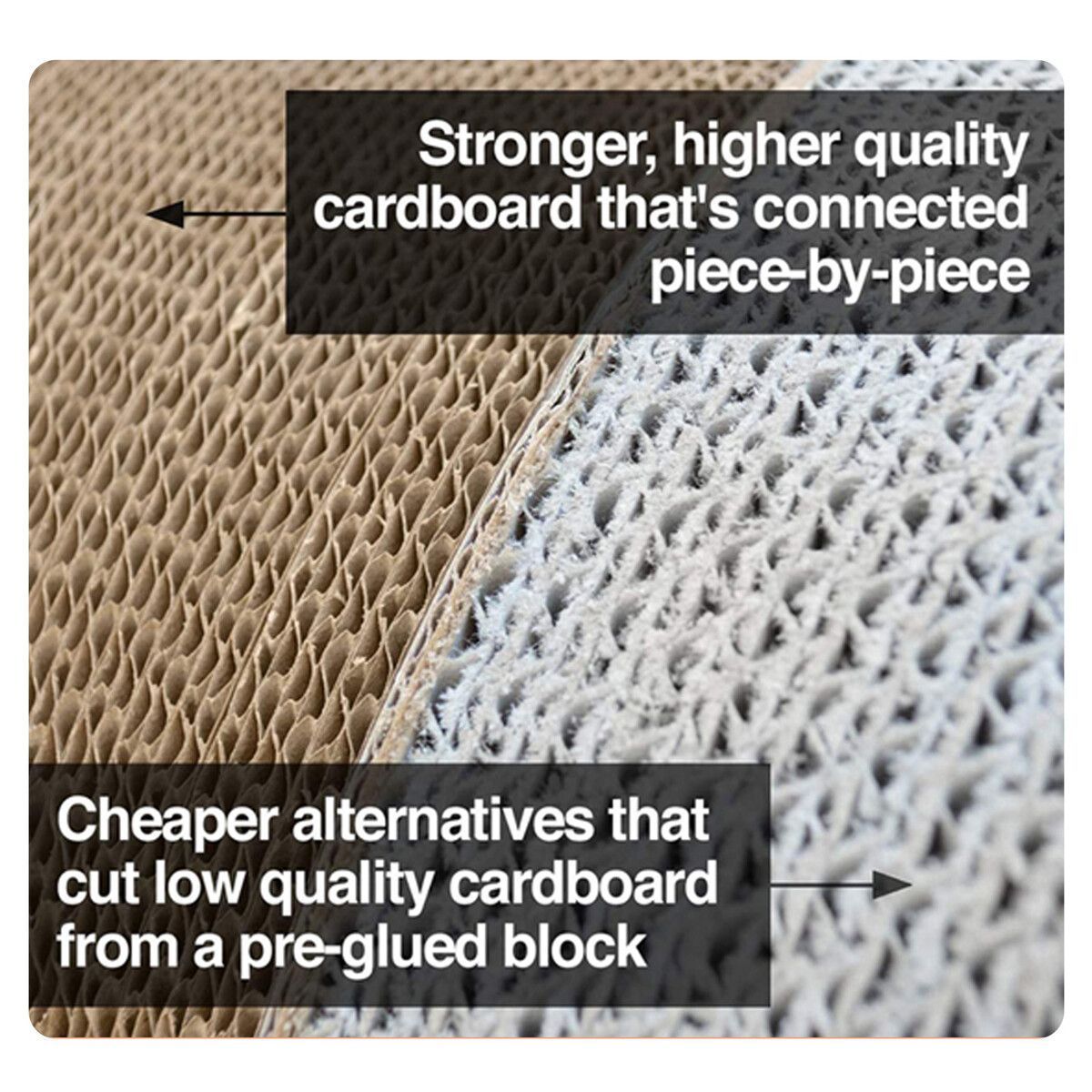 https://img.bestdeals.co.nz/products_pictures/495/49504_460471_F.jpg