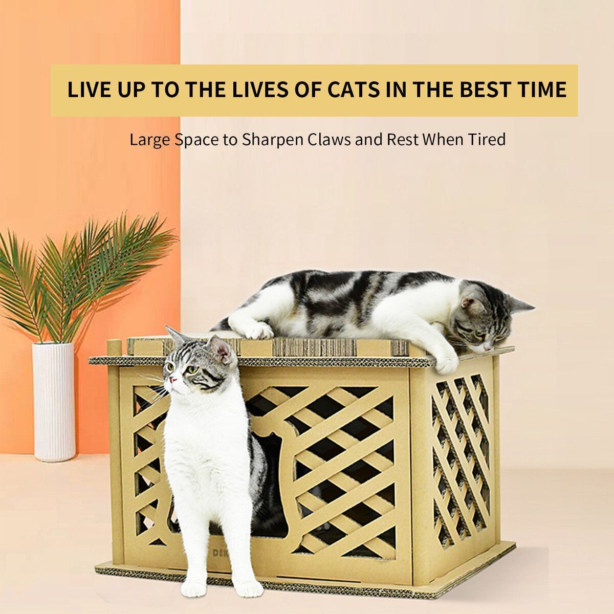 https://img.bestdeals.co.nz/products_pictures/495/49505_460483_F.jpg
