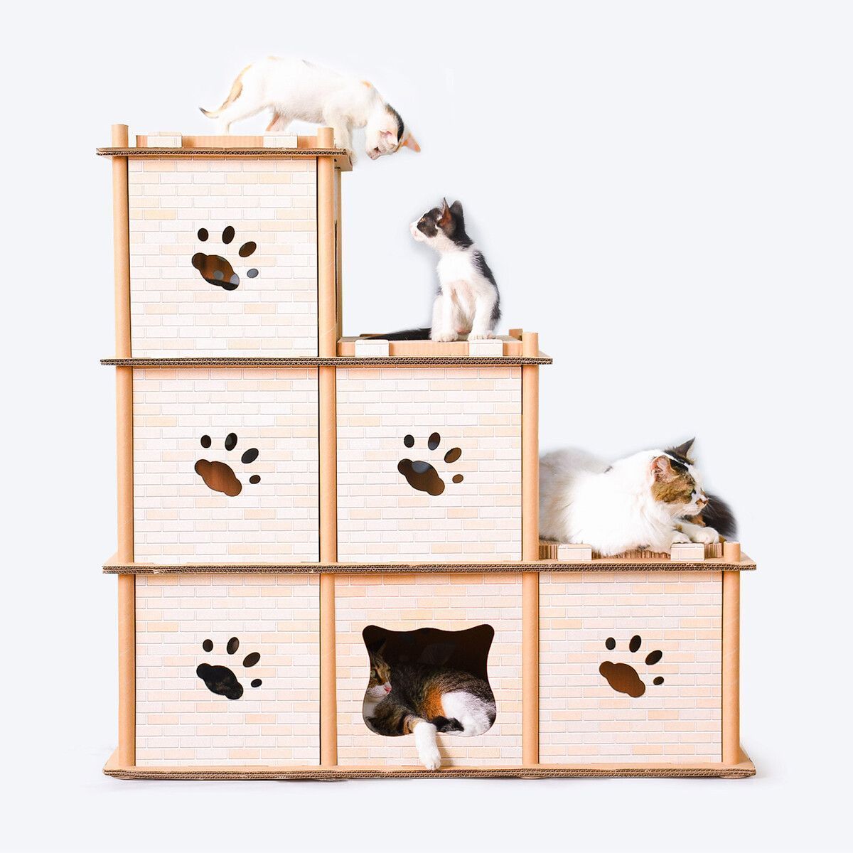 https://img.bestdeals.co.nz/products_pictures/495/49507_460510_F.jpg