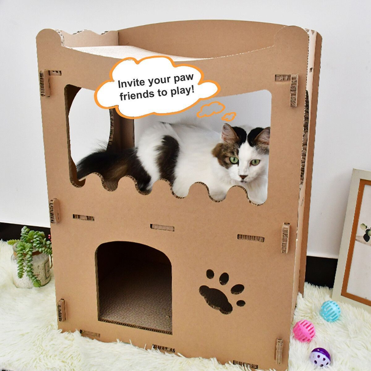 https://img.bestdeals.co.nz/products_pictures/495/49508_460515_F.jpg