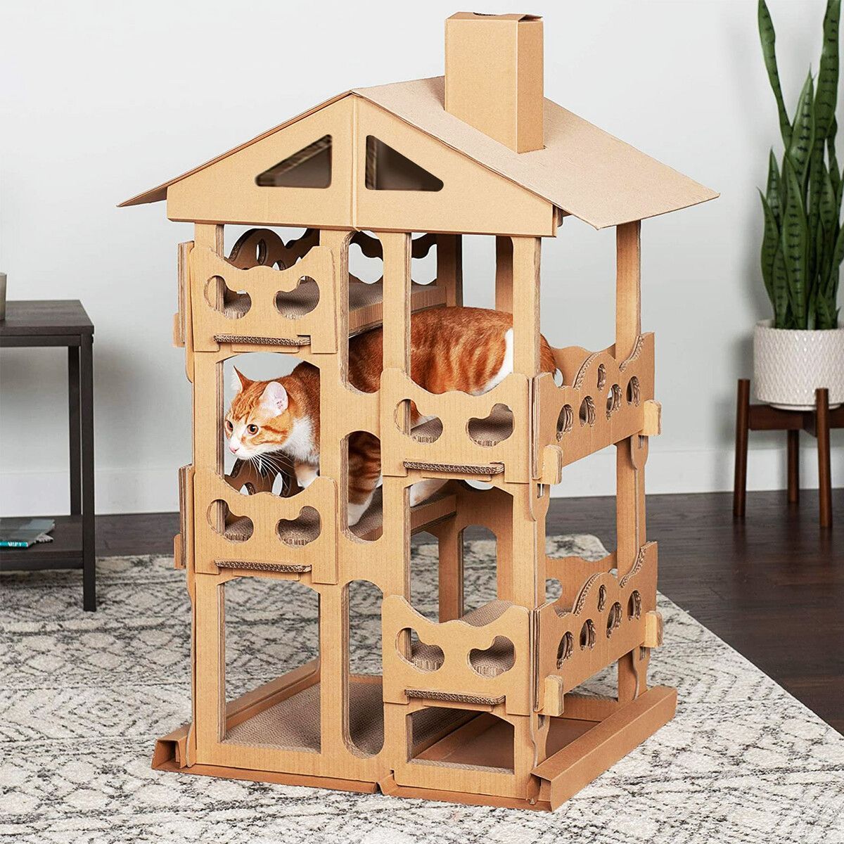 https://img.bestdeals.co.nz/products_pictures/495/49509_460529_F.jpg