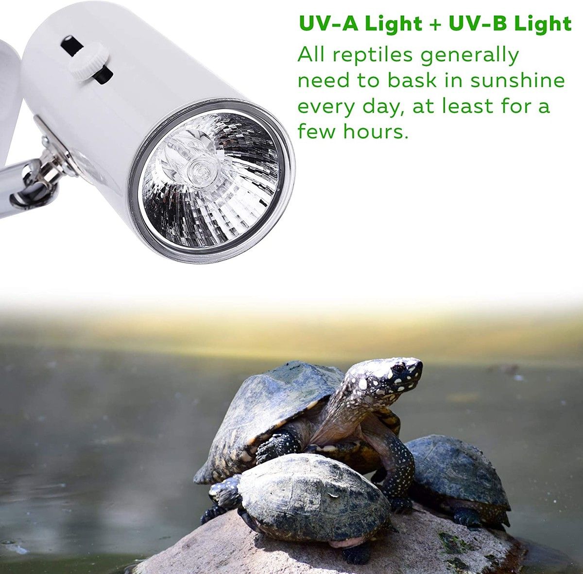 https://img.bestdeals.co.nz/products_pictures/495/49583_461366_F.jpg