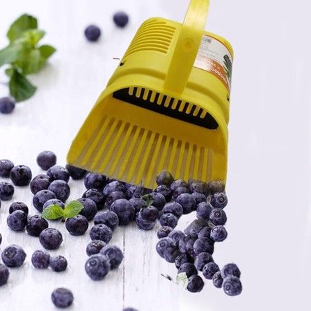 https://img.bestdeals.co.nz/products_pictures/496/49631_461935_F.jpg