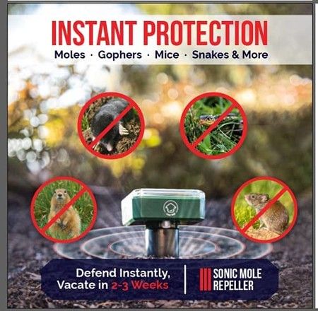 https://img.bestdeals.co.nz/products_pictures/496/49645_462077_F.jpg