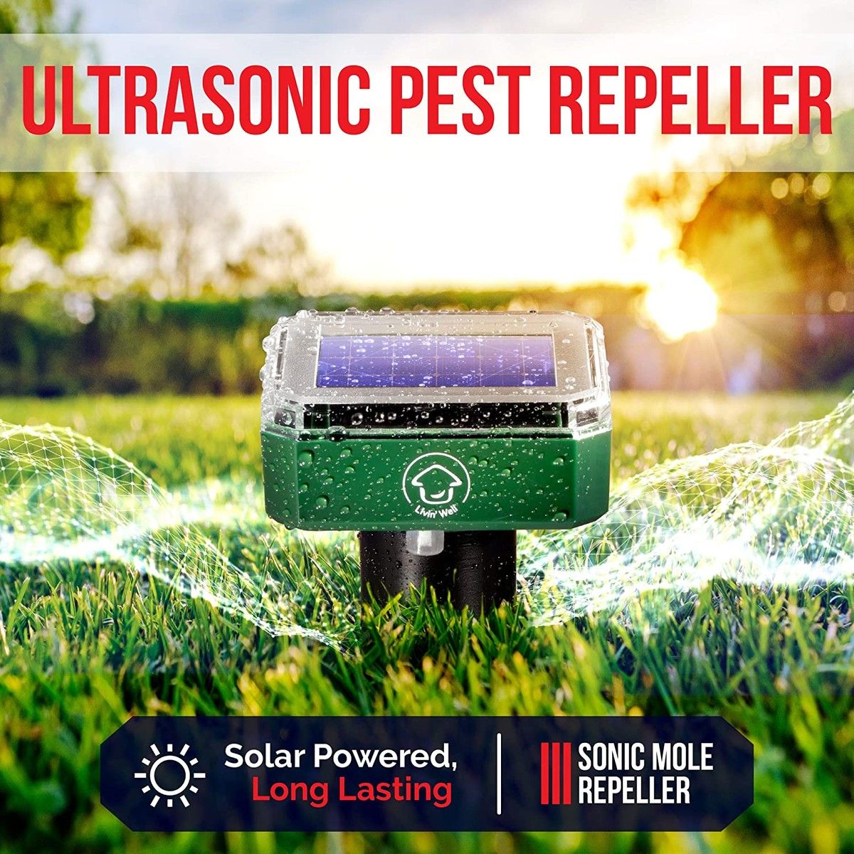 https://img.bestdeals.co.nz/products_pictures/496/49645_462080_F.jpg