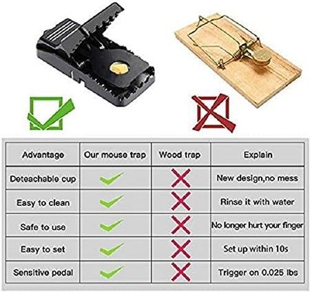 https://img.bestdeals.co.nz/products_pictures/496/49671_462273_F.jpg