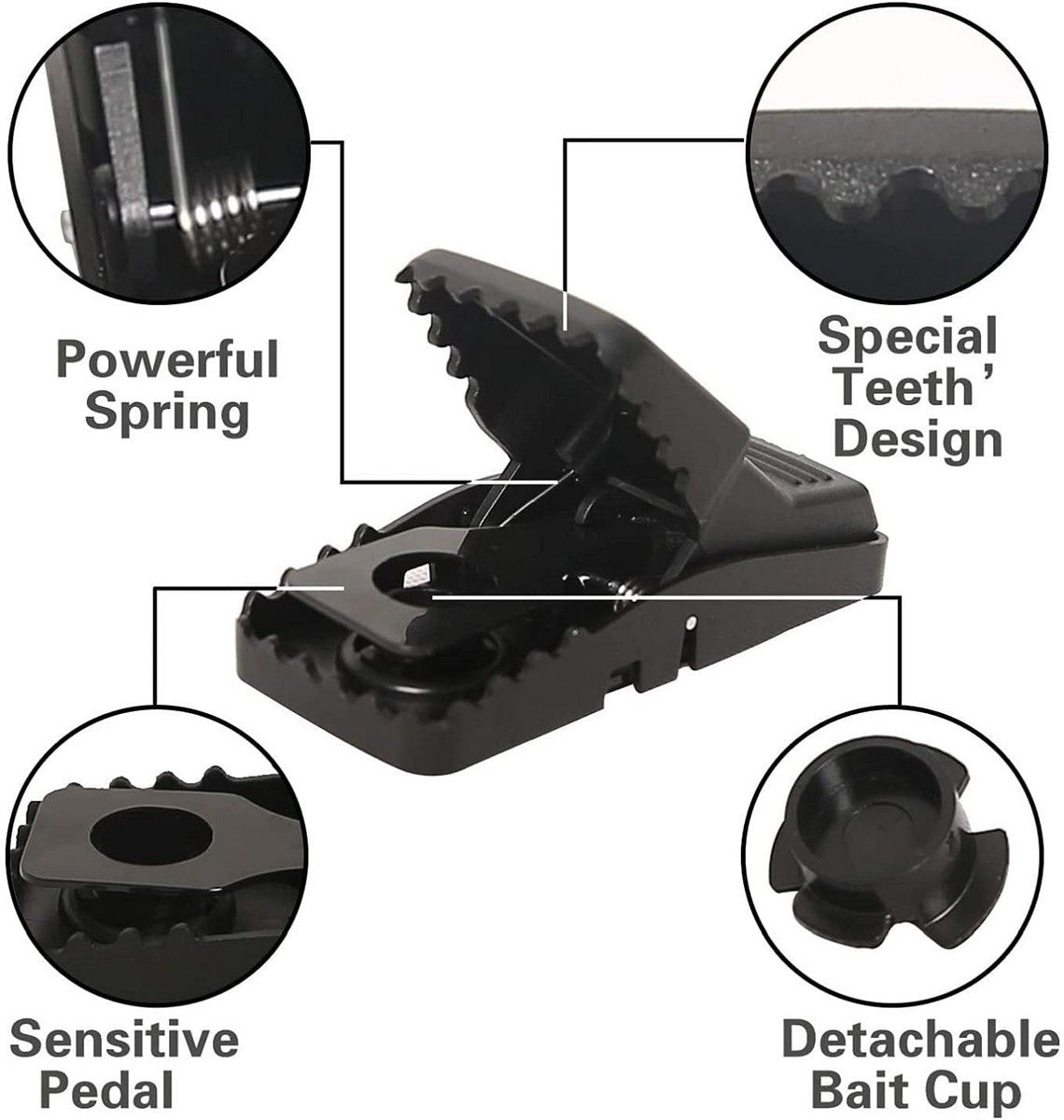 https://img.bestdeals.co.nz/products_pictures/496/49671_462278_F.jpg