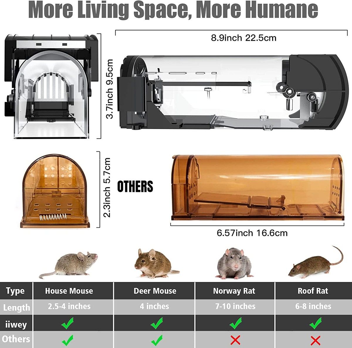 https://img.bestdeals.co.nz/products_pictures/496/49672_462281_F.jpg
