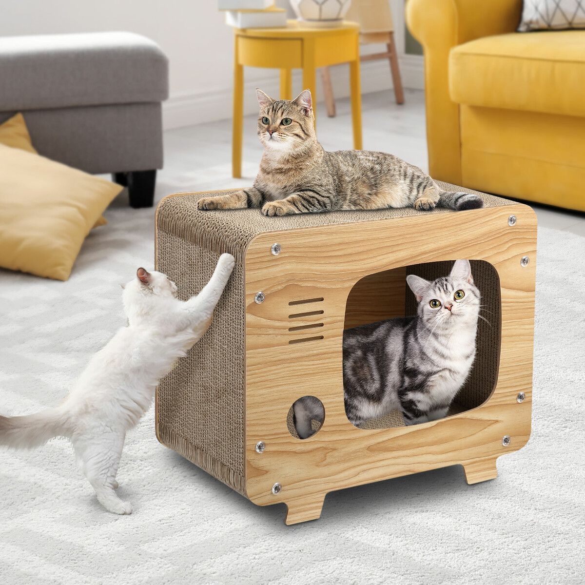 https://img.bestdeals.co.nz/products_pictures/496/49687_462412_F.jpg