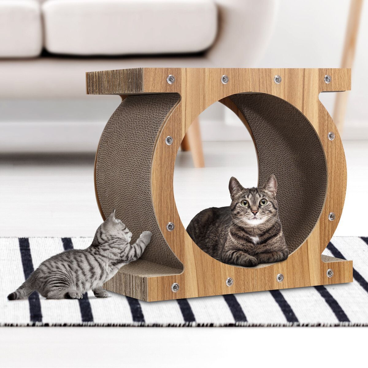 https://img.bestdeals.co.nz/products_pictures/496/49688_462422_F.jpg
