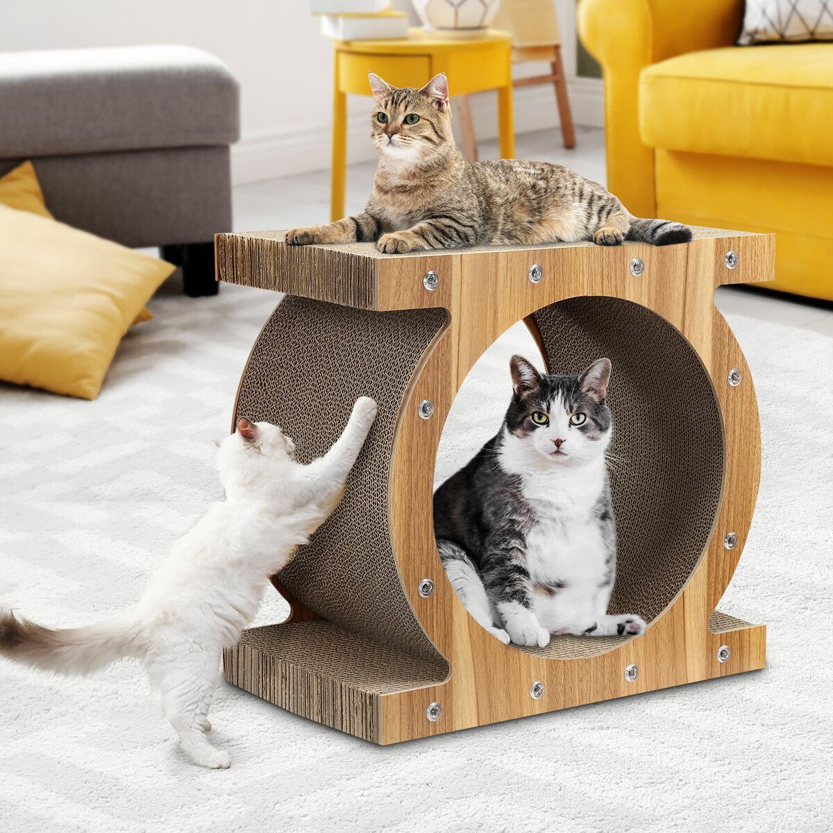 https://img.bestdeals.co.nz/products_pictures/496/49688_462423_F.jpg