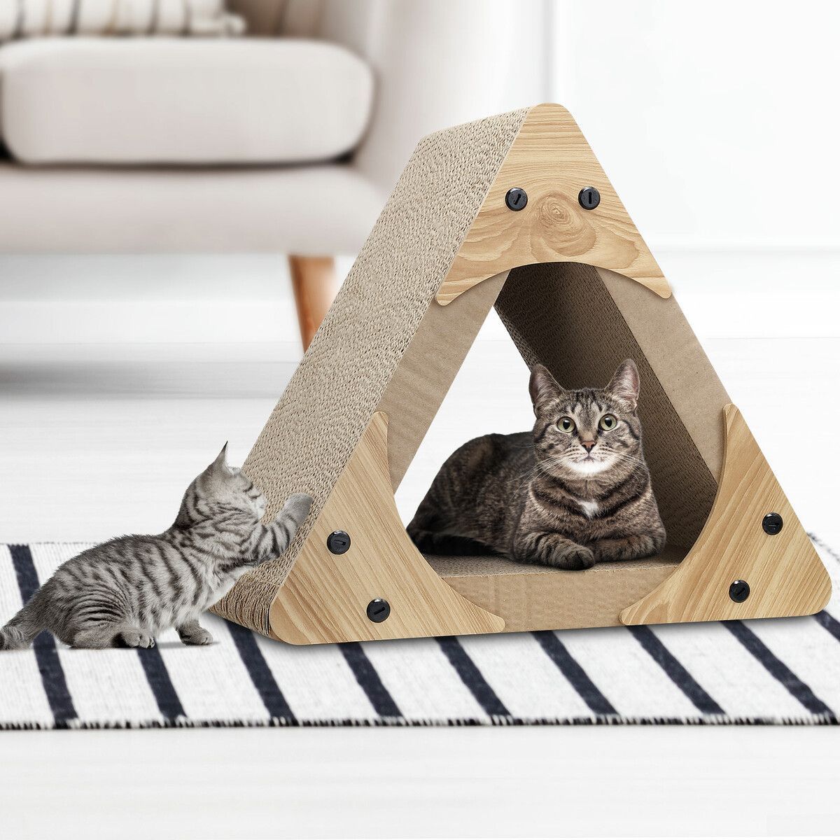 https://img.bestdeals.co.nz/products_pictures/496/49689_462432_F.jpg
