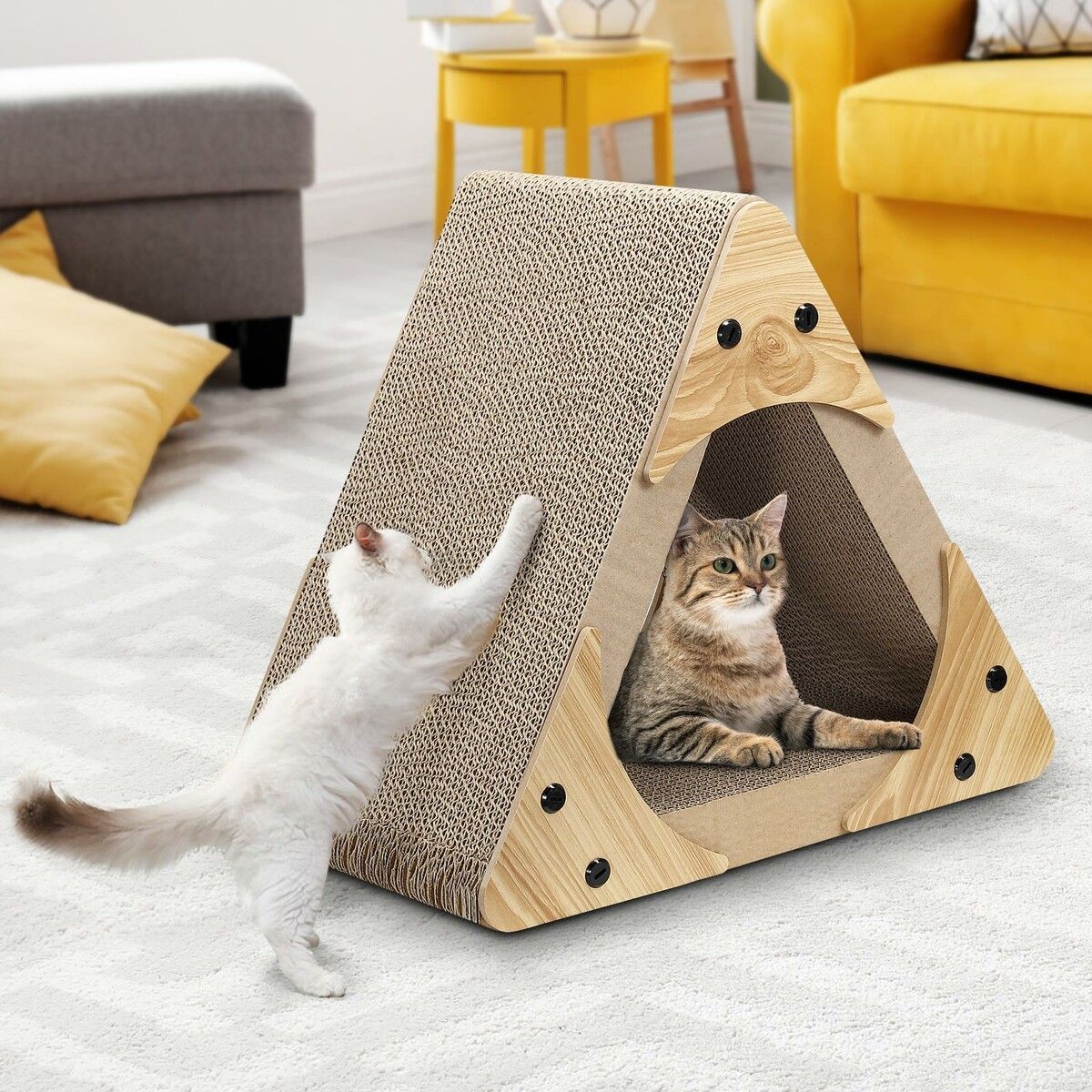 https://img.bestdeals.co.nz/products_pictures/496/49689_462433_F.jpg
