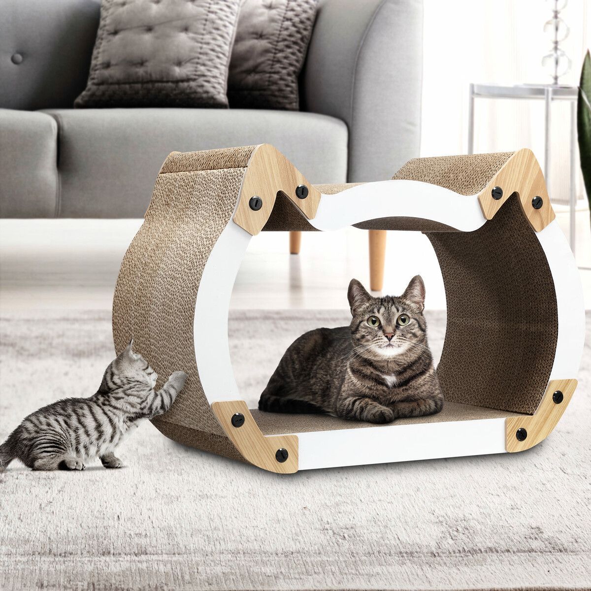 https://img.bestdeals.co.nz/products_pictures/496/49690_462443_F.jpg